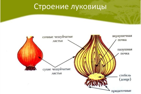 Магазины онион ссылки